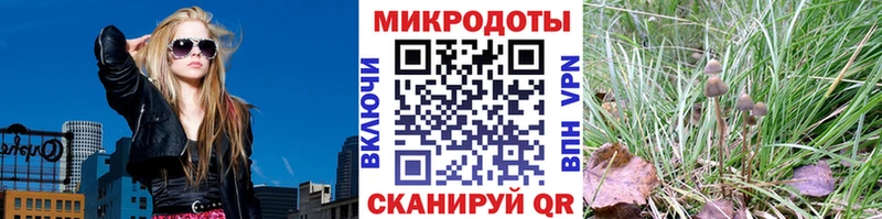 Псилоцибиновые грибы Cubensis  дарнет шоп  Дорогобуж 